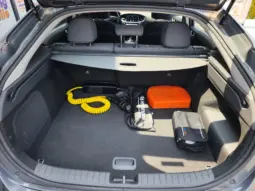 
										HYUNDAI IONIQ full									
