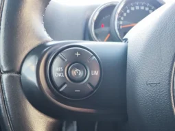 
										MINI COUNTRYMAN full									