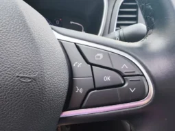 
										RENAULT MEGANE full									