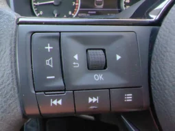 
										NISSAN QASHQAI full									