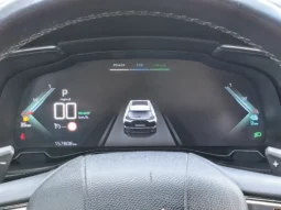 
										DS AUTOMOBILES DSA DS7 CROSSBACK full									