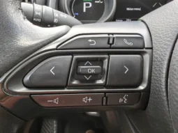 
										TOYOTA YARIS full									