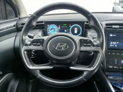 
										HYUNDAI TUCSON full									