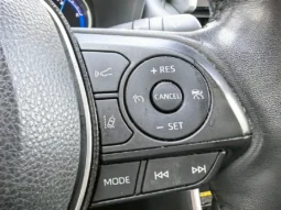 
										TOYOTA RAV 4 full									