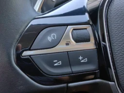 
										PEUGEOT 5008 full									