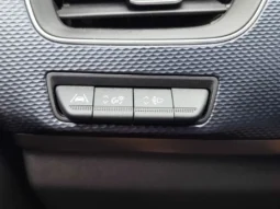 
										RENAULT ARKANA full									