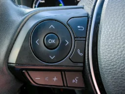 
										TOYOTA RAV 4 full									