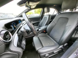 
										MERCEDES BENZ A 180 full									