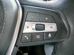 
										BMW X6 full									